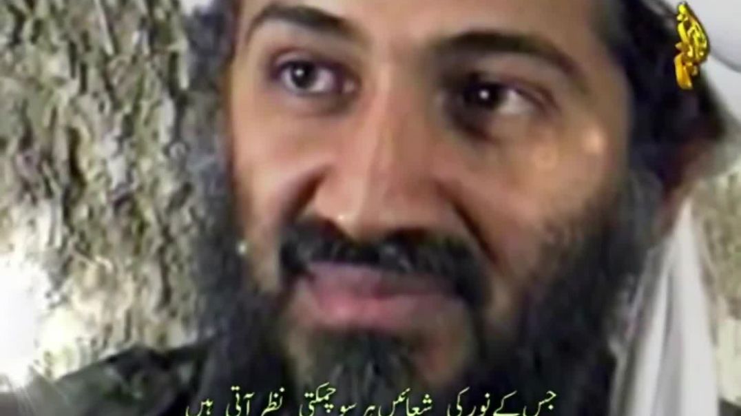 Who is Osama Bin Laden?