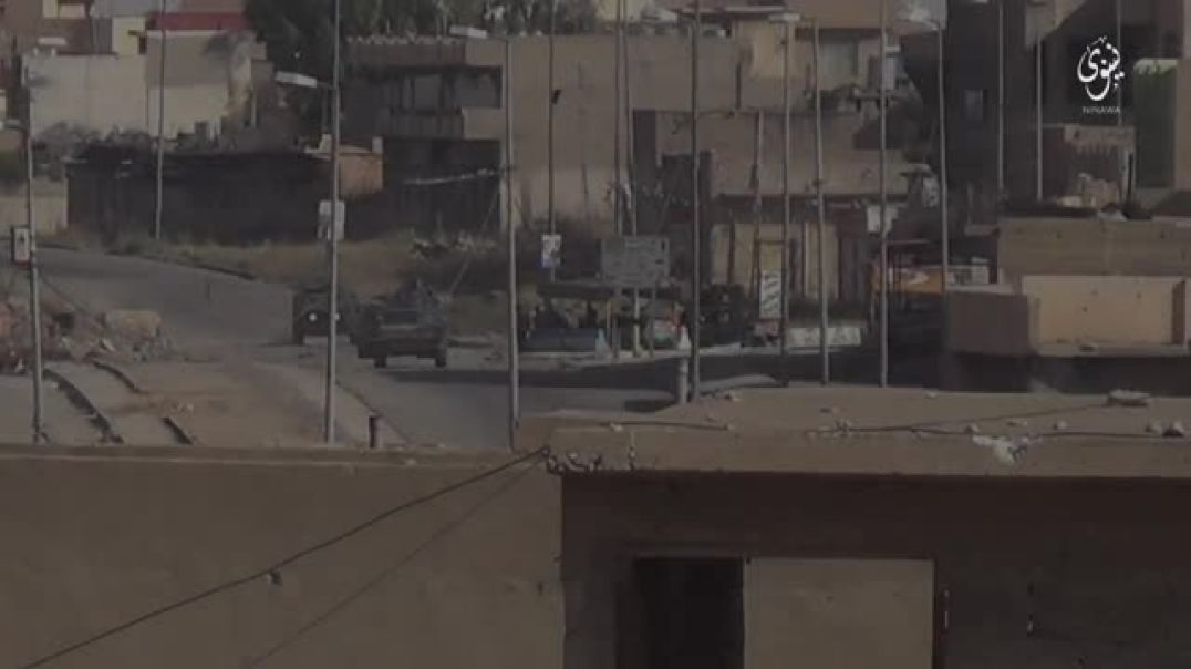 الأمن والأمان بدولة الإسلام