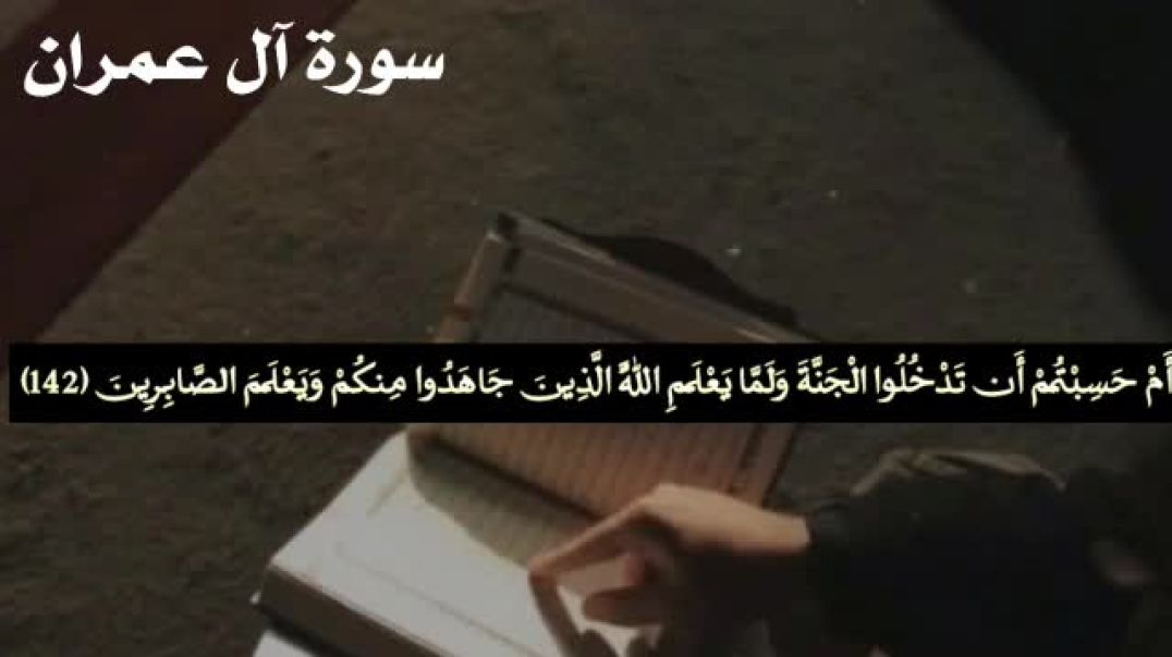 تلاوة بصوت اسامة بن لادن ( ال عمران)