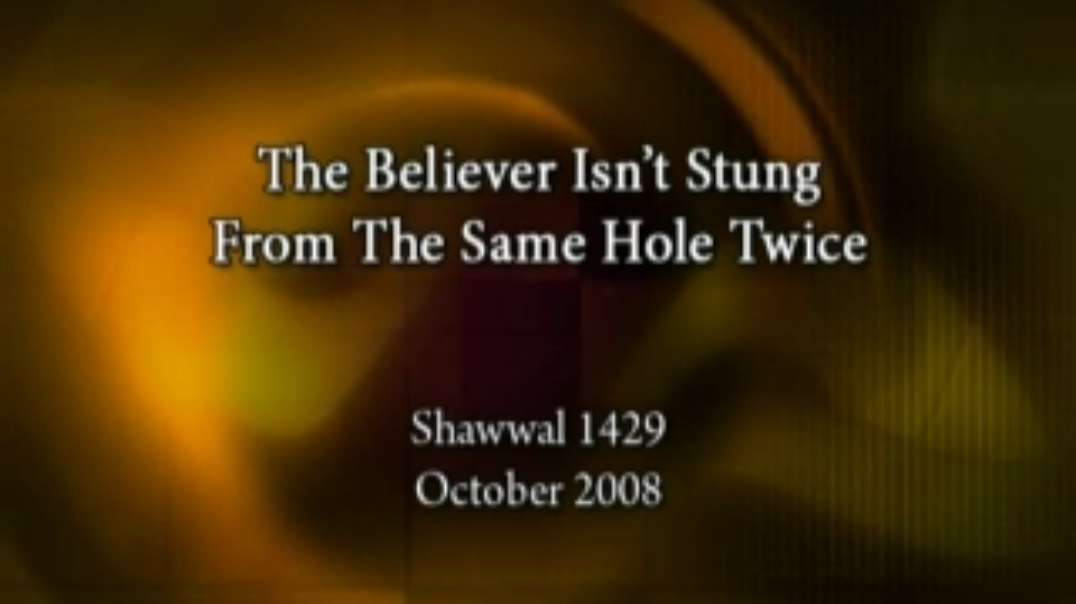 Adam Yahya Gadahn - The Believer Isn't Stung From The Same Hole Twice