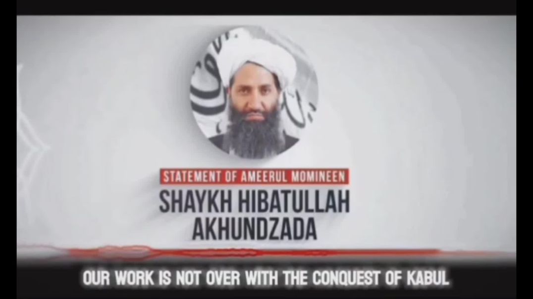 The Taliban's Real Position On Global Jihad