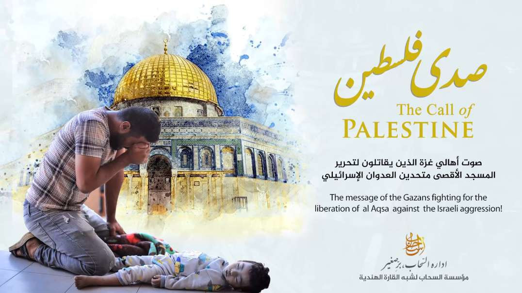 صدى فلسطين